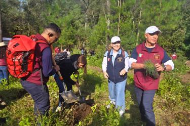 Personal de Segob participó en acciones de recuperación de bosques y áreas naturales en ocho municipios mexiquenses,