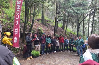 La intervención contempló la plantación de mil oyameles (Abies religiosa) y mil encinos (Quercus),