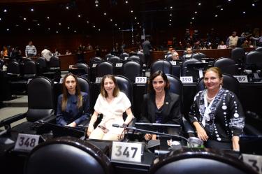 El Partido Verde urgió a realizar acciones para fortalecer la confianza de víctimas de violencia contra la mujer en las instituciones de justicia.