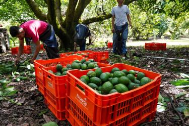 EU reanuda sus actividades en Michoacán: "La cooperación da resultados".