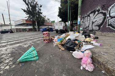 Rezago en el espacio público: Parques dañados, grietas, falta de podado y crisis de basura merman la imagen de Iztapalapa