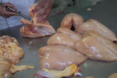 Importaciones de pollo brasileño amenazan empleos e inversiones en México, alerta la UNA.