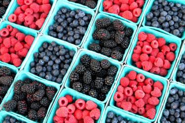 México incrementa 2% sus exportaciones de frutos rojos y mantiene liderazgo mundial.