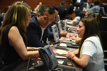 El Partido Verde afirmó que la aplicación de esta reforma debe traducirse en una mayor coordinación institucional para prevenir delitos ambientales.