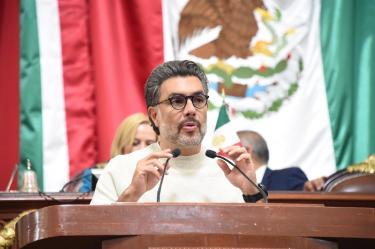 El dirigente ecologista explicó que su propuesta establece que el Gobierno Federal cubra la totalidad de las cuotas correspondientes, de manera que las cuidadoras puedan recibir atención médica.