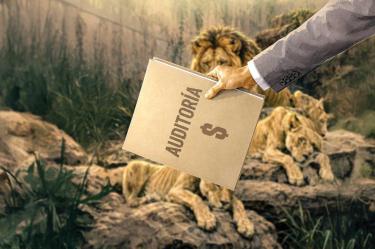 En el limbo, recursos para zoológicos de CDMX; auditoría impide conocer distribución