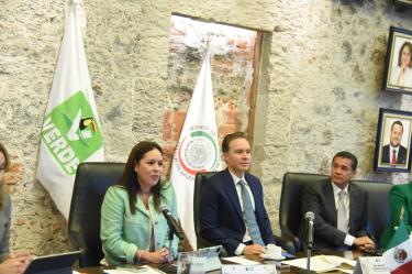 Manuel Velasco, Coordinador del Partido Verde en el Senado