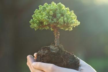 Innovación, financiamiento y el valor de la sostenibilidad en el Mexico Carbon Forum 2026
