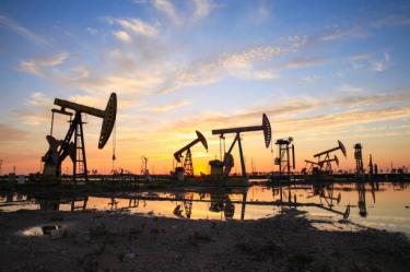 Campos petroleros