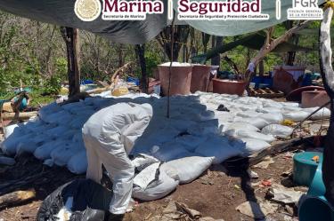 Personal especializado revisa los precursores y sustancias de uso dual hallados en el campamento clandestino.