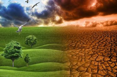 Bonos de carbono: el modelo que acelera el calentamiento global.