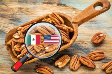 China extiende hasta 2027 investigación antidumping a nueces pecanas de México y EU.