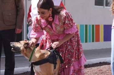 El “Centro Xólotl” garantiza alimentación, entornos saludables, atención médico-veterinaria, socialización y un estado mental óptimo para los animales