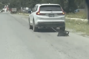 Arrastran a perro desde una camioneta en Hidalgo