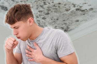 La exposición a moho puede relacionarse con molestias respiratorias, alergias, irritación
