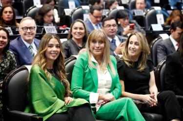 El PVEM destacó la reforma constitucional en materia de protección animal que promovió y que fue aprobada por el Congreso de la Unión en noviembre de 2024 y publicada en el Diario Oficial de la Federación el 2 de diciembre de ese año.