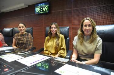 El dictamen con las modificaciones constitucionales fue aprobado por la Cámara de Diputados en noviembre de 2025.