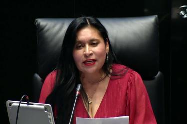 Ana Lilia Rivera coordinará Morena en Tlaxcala rumbo a 2027, tras una trayectoria legislativa vinculada al campo, pueblos indígenas y maíz nativo.