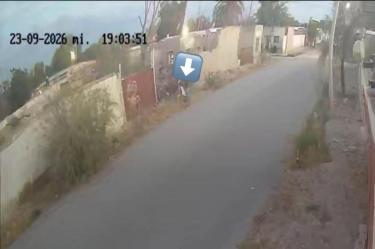 Graban a sujeto que deja el cadáver de un perro afuera de una casa