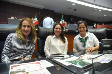Se seguirán respaldando las propuestas orientadas a traducir estos principios en acciones concretas que permitan avanzar en la protección y el bienestar animal en todo el país.