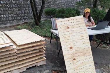 Presentan denuncia ante Profepa por tablas con clavos anti osos