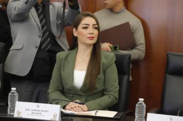 La senadora con licencia detalló que nació en California, Estados Unidos, debido a una estancia laboral temporal de sus padres, ambos campesinos nayaritas, pero llegó a México desde pequeña y cuenta con la ciudadanía nayarita.