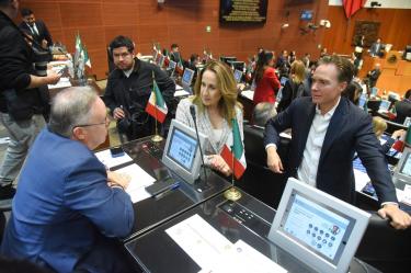 La senadora Maki Ortiz, presidenta de la Comisión de Medio Ambiente, Recursos Naturales y Cambio Climático, destacó que la nueva ley también establece sanciones por abandono animal.