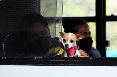 Detienen a mujer por presunto secuestro de perrito; exigía 3 anillos de oro