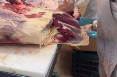 Derivado de las restricciones fronterizas, México supera las 500 mil toneladas adicionales a la producción de carne