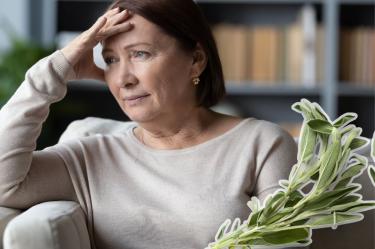 Algunos estudios científicos sugieren que la salvia podría ayudar a reducir la frecuencia de los bochornos y sudoración por menopausia.