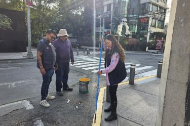 Personal de Servicios Urbanos retiró cuatro árboles secos de la Plaza Río de Janeiro para prevenir riesgos a visitantes y vecinos.