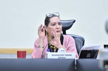 Luis Carlos Ugalde, director general de Integralia Consultores consideró que la salida de Guadalupe Taddei de la presidencia del INE no debe significar el cierre de las investigaciones
