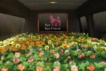 Bye Bye Friend: servicios funerarios para mascotas crecen hasta 50%.