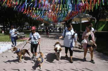 Identifican a sujeto que habría arrojado cebos con veneno en Parque España
