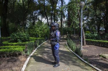 Envenenamiento de perros en CDMX: van 16 casos en un año y 9 denuncias ante la Fiscalía