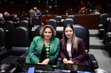 El Partido Verde llamó a reforzar las fiscalías especializadas en violencia contra las mujeres