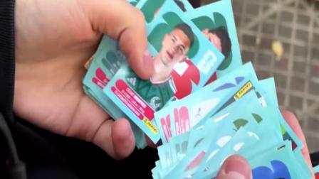 Panini consolida su estrategia logística aérea y expande sus puntos de intercambio: Marina Benavides