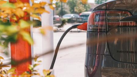 Somos una hormiga en un mundo de elefantes: Gallego detalla avance de la electromovilidad en México