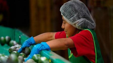 El empleo formal en México registra su peor mayo en lo que va del año