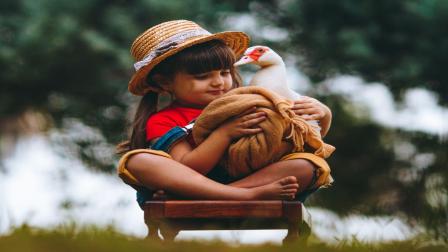 Patos no son juguetes: 'efecto moda' provocará abandono masivo y riesgos de salud: Adriana Díaz