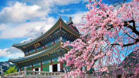 Corea del Sur registra incremento de 238% en turismo de mexicanos: Carlos Alberto Torres