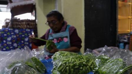 PIB de México crece 1.5% en el segundo trimestre de 2026