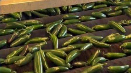 CNA frena señalamientos sobre la presencia de ciclosporiasis en vegetales mexicanos