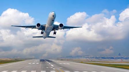Reducción de presupuesto pone en riesgo seguridad aérea: Rosario Avilés