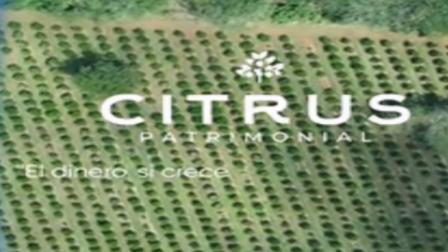 Citrus Patrimonial