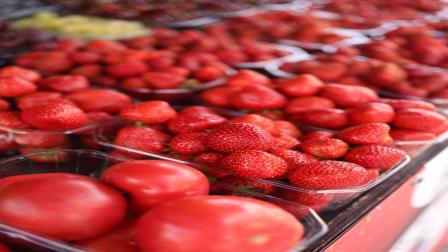 Grupo Consultor advierte inflación por aranceles a fresas y tomates