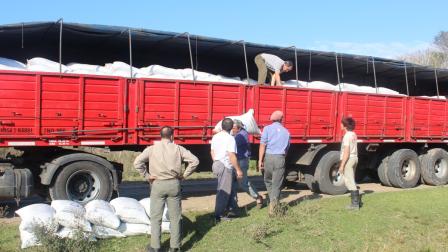 Certificaciones de sostenibilidad garantizan trazabilidad y reducen riesgos comerciales Ecocert