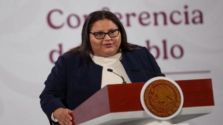 Proceso de Morena concluirá antes de fin de mes: Citlali Hernández