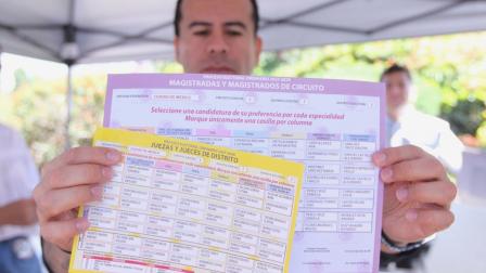Grupos políticos locales y cacicazgos se empoderaron en Morena: René Delgado