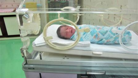Extend, el primer vientre artificial para gestar bebés
